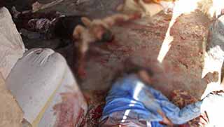 35 IŞİD Üyesi Öldürüldü