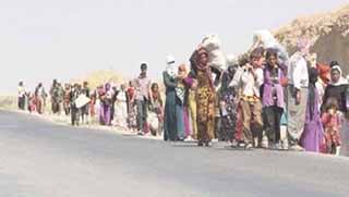  Ezidiler: Arap komşularımız IŞİD katliamına yardım etti