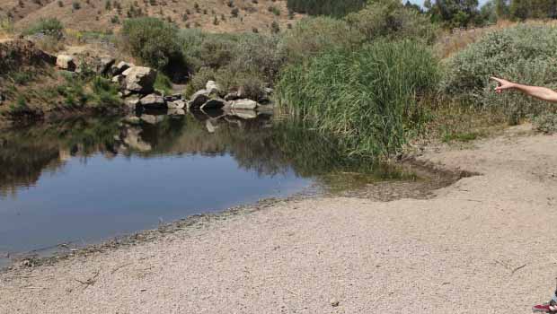 Dicle'nin can damarı kuruyor