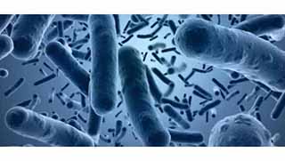 İklim Değişikliği Yeni Hastalıklara Yol Açabilir