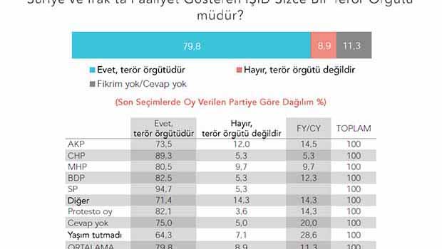 Türkiye'nin IŞİD algısı
