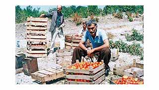 'Çirkin Kral' Yılmaz Güney'in İmralı günleri...