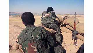 Daily Telegraph: 'Kürtler iyi direndi'