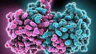 Ebola virüsü mutasyon geçiriyor