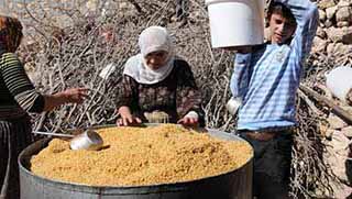 Dilbikulê Cizîrî: Çandeka me ya windabûyî - Savarkelandin û Danî