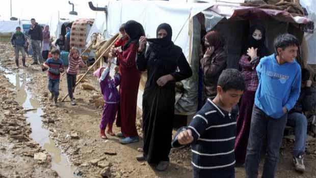 1500 Suriyeliye 'Antalya'yı terk et' tebligatı!