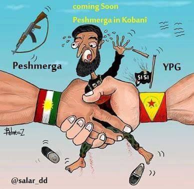Kobani; Kürtler Açısından Pahalı Bir Tecrübe, Değerli Bir Zaferdir