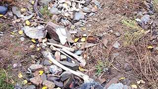 1993’te gözaltında alındıktan sonra kaybolan 11 köylünün davası ertelendi