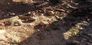 Ezidi Kürtlerine  ait toplu mezar bulundu