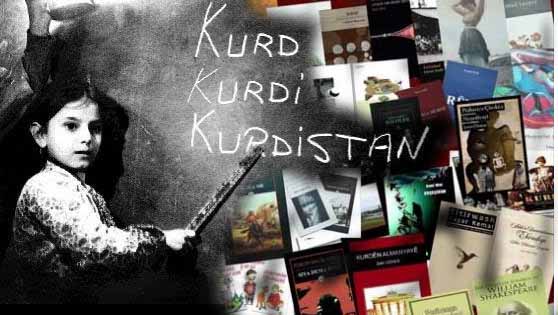 Eleştiriler