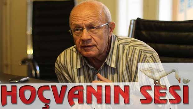 İsmail Beşikçi: Kürdler, görüşmelerde uluslararası gözlemci talep etmeli