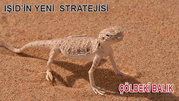 IŞİD'ten yeni strateji: Çöldeki Balık