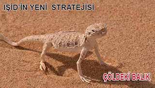 IŞİD'ten yeni strateji: Çöldeki Balık