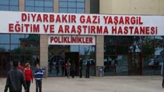  Diyarbakır'da domuz gribi alarmı