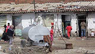 Tarlada Kobanêli çocuk sömürüsü