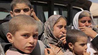 31 Ezidi kadın ve çocuk daha kurtuldu