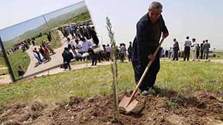 Çatışmalarda Şehit düşen Peşmergeler İçin 1100 Fidan Dikildi