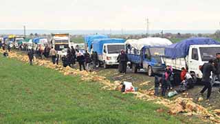 75 bin Kobanêli evine geri döndü