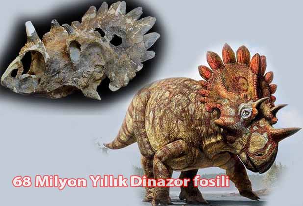 Kanada'da 68 milyon yıllık dinozor fosili bulundu