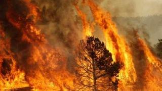 Doğu Kürdistan’ın Cigerleri Yanıyor