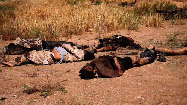 Hasekê kırsalında bulunan IŞİD cesetleri yaşamı tehdit ediyor