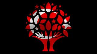 Seçim Sonuçları, HDP- Kemalist Sol ve İhanetin Paslı Hançeri