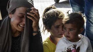 Gözlemevi: Kobane katliamında ölü sayısının artmasından endişeliyiz