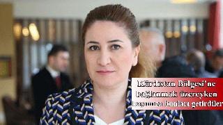 Viyan Dexil Şengal'de neler olduğunu anlattı