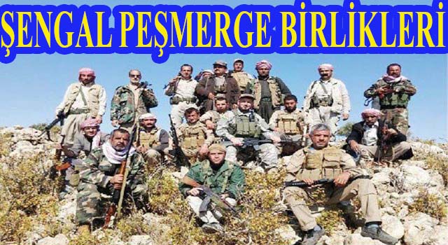 Şengal’de ki Dağınık Birlikler Tek Çatı Altında
