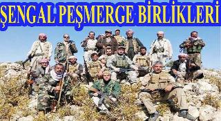 Şengal’de ki Dağınık Birlikler Tek Çatı Altında