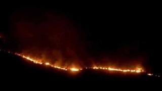 Cudi Dağı'ndaki ormanlık alanda yangın!