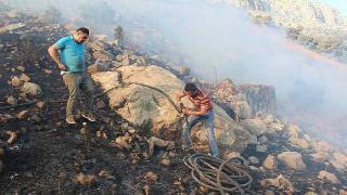 Şırnak'ta bir orman yangını daha