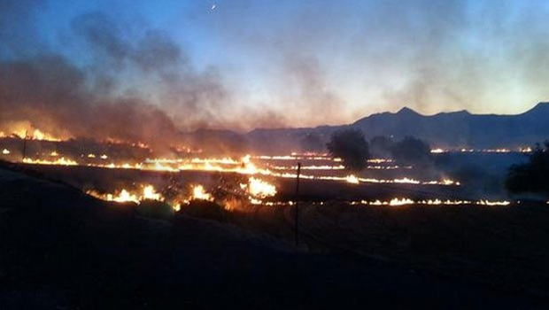 Diyarbakır’daki orman yangınları kontrol altına alındı