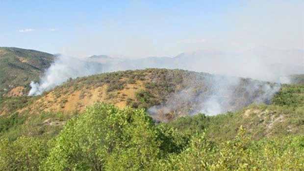 Dersim’de Yangın devam ediyor