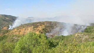  Dersim’de Yangın devam ediyor