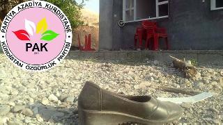 PAK: Türk Devleti saldırıları durdursun