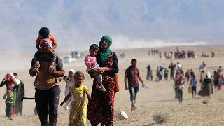 Ezidi Kürtler’den 6 bin kayıp