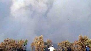 Dersim ve Mardin'de orman yangını