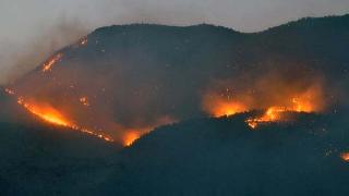 Kuzey Kurdistan Alev Alev Yanıyor