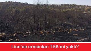 Times TSK'nin Lice'de yangın çıkarttığını ileri sürdü
