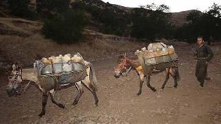 İran Pastarları bir Kürt kaçakçısını daha katlettiler