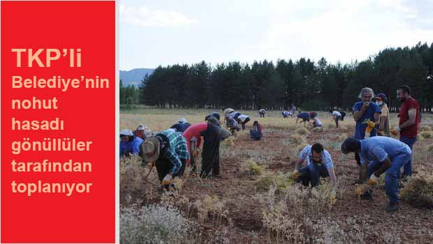 Gönüllüler TKP'li Belediyeyi yalnız bırakmıyor