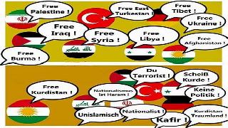 Sahte Kül Kedisi Bal Kabağını Yolda Yer