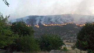 Bingöl'deki orman yangını köyleri tehdit ediyor
