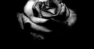 PDK-T: Peyama Sersaxi