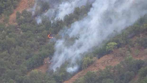 Hakkari'de 5 ayrı noktada Orman yangını
