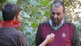 'Devlet size ne yaptı ulan' diyen Baş komiser Gerillaların Elinde