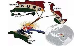 Kürdistan Özgürlük Mücadelesindeki Gelişmeler Ve PKK’nin Yanlışları