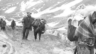 Sürgün içinde sürgün: Kafkasya Kürdleri