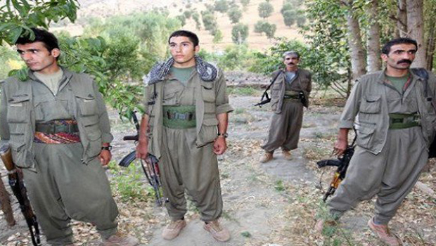 Nazim Bekîr: PKK, Zergelê Köyü Muhtarı ve 2 sivili alıkoydu